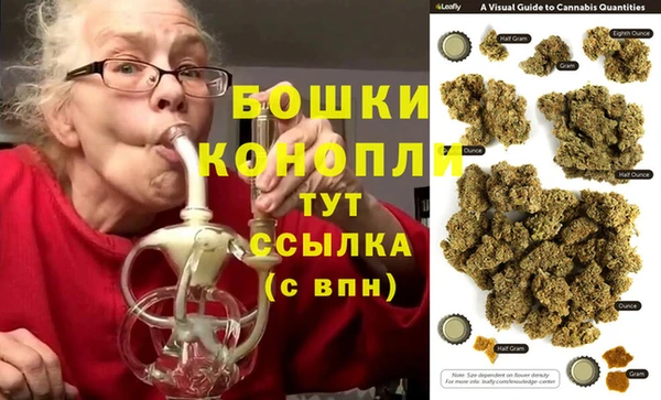 гидра Армянск