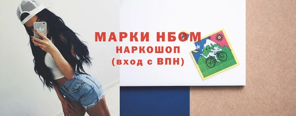 стафф Арсеньев