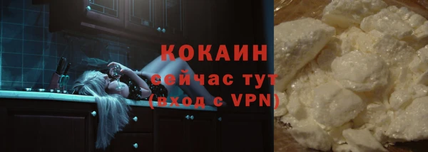 гидра Армянск
