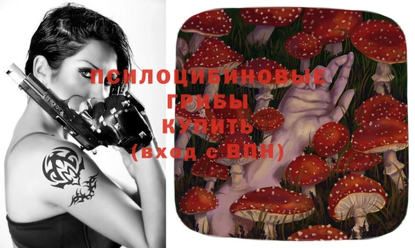 стафф Арсеньев