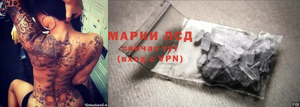 стафф Арсеньев