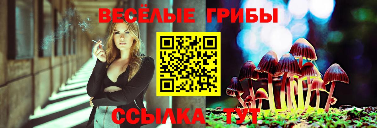 Салават  Псилоцибиновые грибы Magic Shrooms  Вход с VPN 